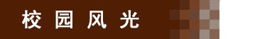 副书记办公室 利亚楼B113室051