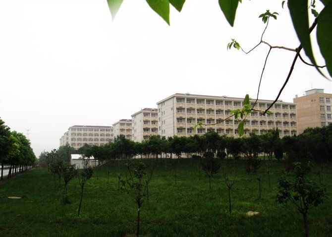 玩球体育在线唯一官方网站下载入口